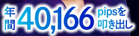 フレームトレードFX・年間40166pips.PNG